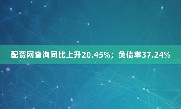 配资网查询同比上升20.45%;负债率37.24%