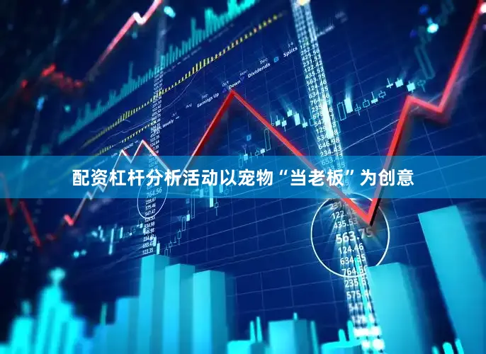 配资杠杆分析活动以宠物“当老板”为创意
