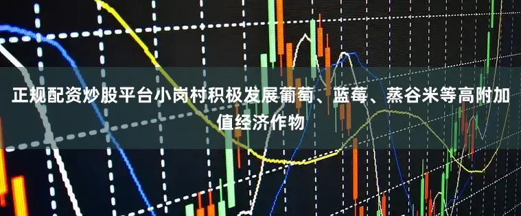 正规配资炒股平台小岗村积极发展葡萄、蓝莓、蒸谷米等高附加值经济作物